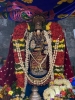 திருக்கோவலூர் - திரு அத்யயன உத்ஸவம் - திருவாய்மொழித்திருநாள் 6